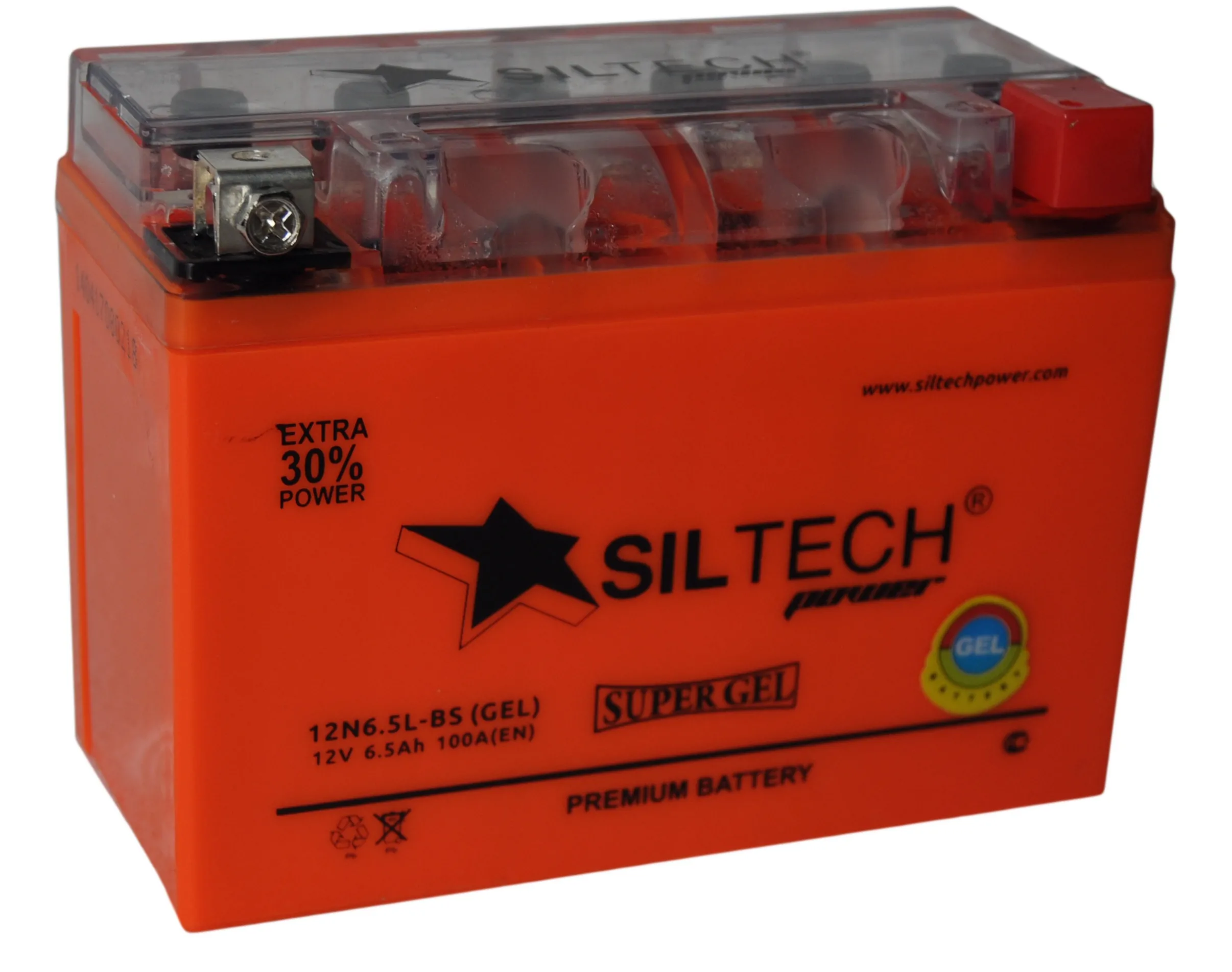 SILTECH-GEL-100-12V6.5